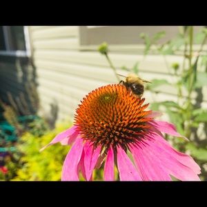 Meet your Posher, Kelsey